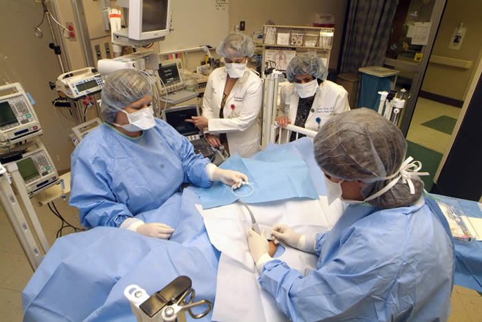 Critical Care Surgery image