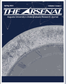 Arsenal Vol. 6 (1)