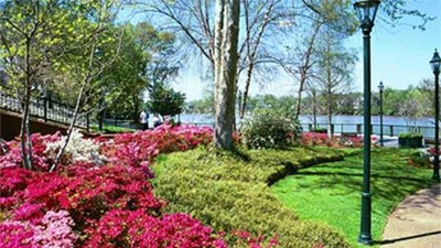 Riverwalk Spring