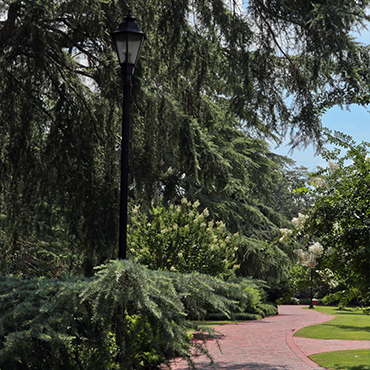 Portion of the history walk.