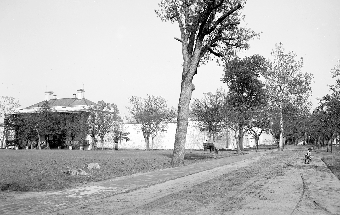 Side view of Fanning Hall