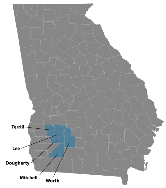 Phoebe Putney Primary Service Area