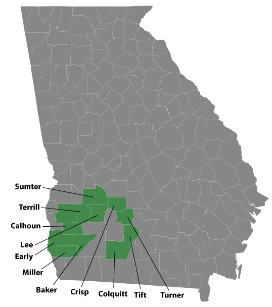 Phoebe Secondary Service Area