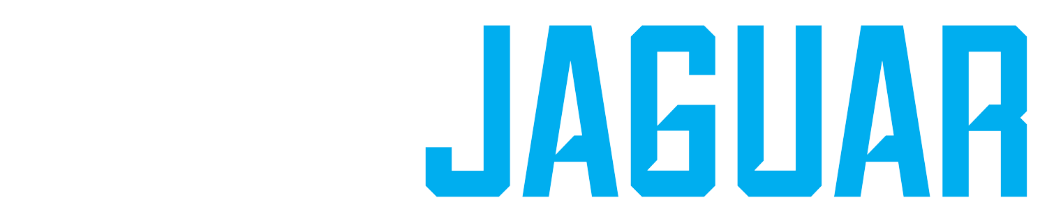 Text logo saying Team Jaguar