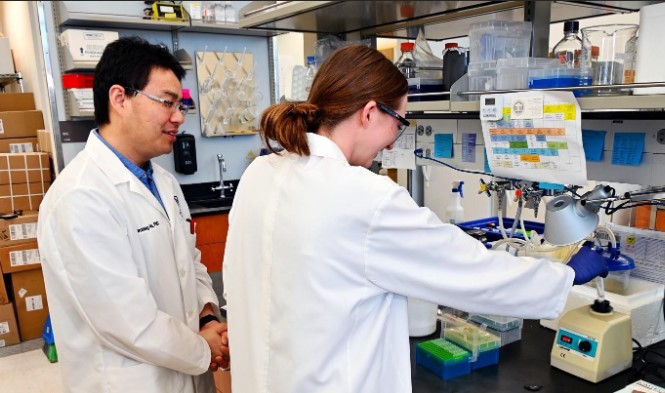 Summer Research Experience 2025