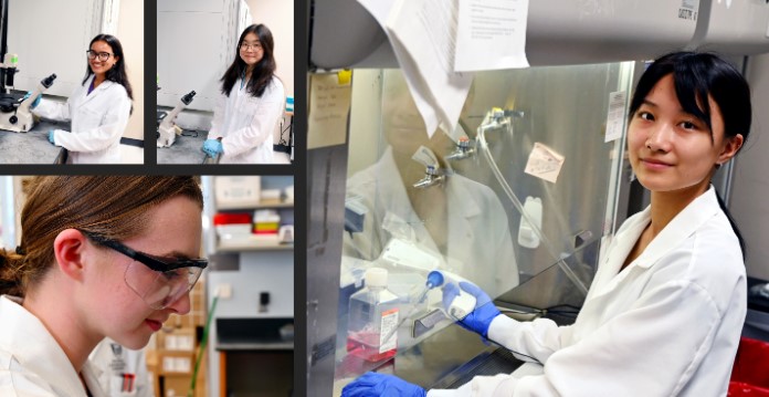 Summer Research Experience 2025