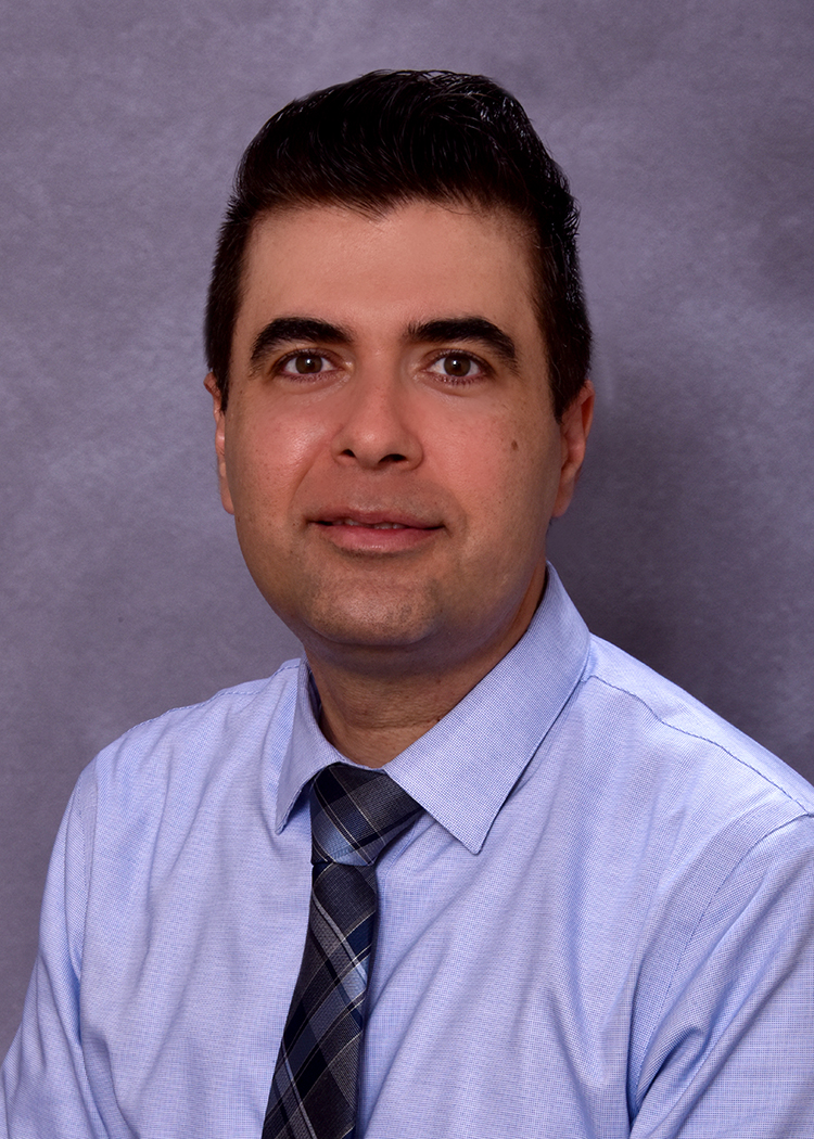 photo of Farshad Mostafaei, MSc, PhD