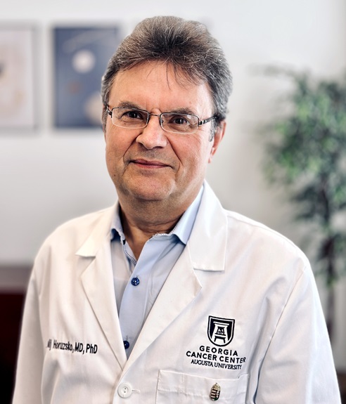 Anatoli Horuzsko, MD, PhD