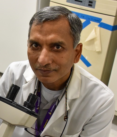 photo of Nagendra Singh, PhD