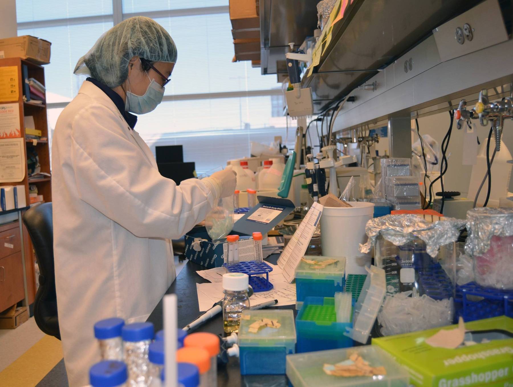 Scientist working in research lab