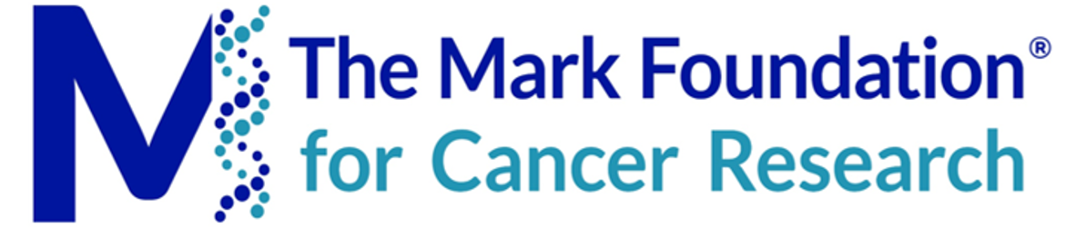 The Mark Foundation logo