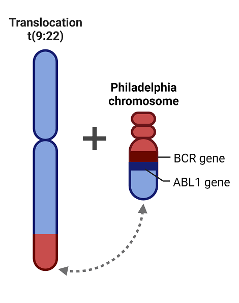 Epidemiological, Clinical and Molecular Characterization of Patients with Chronic Myeloid Leukemia 