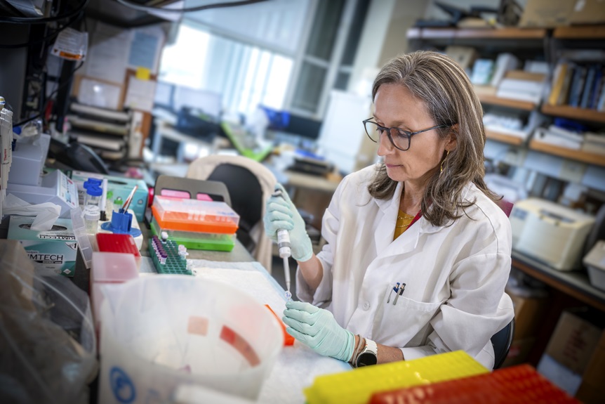 Dr. Munn's lab member working in his lab.