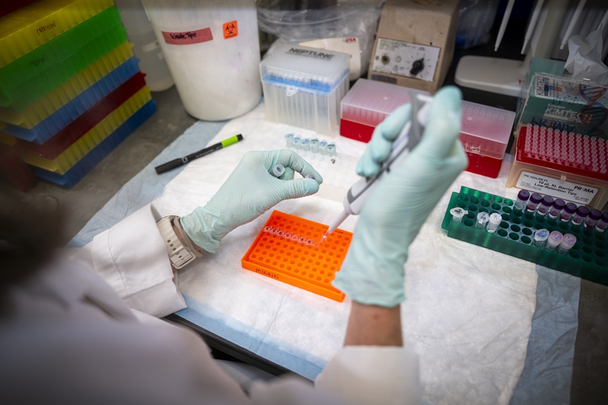 researcher view of working in Dr. Munn's lab.