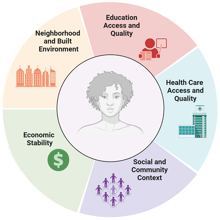 Social determinants of health in cancer care graph