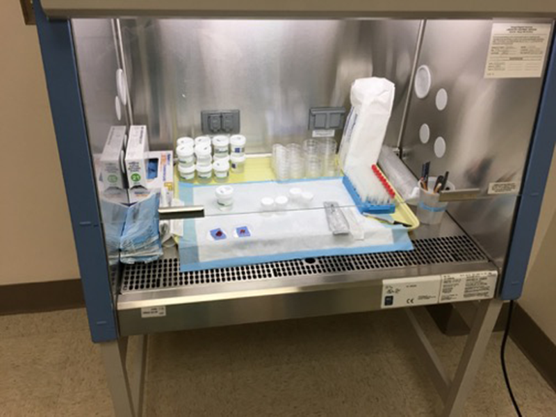 Biosafety cabinet