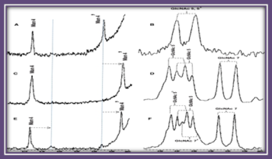 Targeted glycoproteomic identification of biomarkers for human breast carcinoma