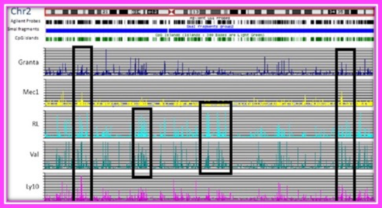 Whole Methylome Sequencing in Lymphoid Malignancies