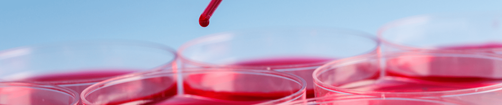 Center for Blood Disorders generic header image with blood droplet