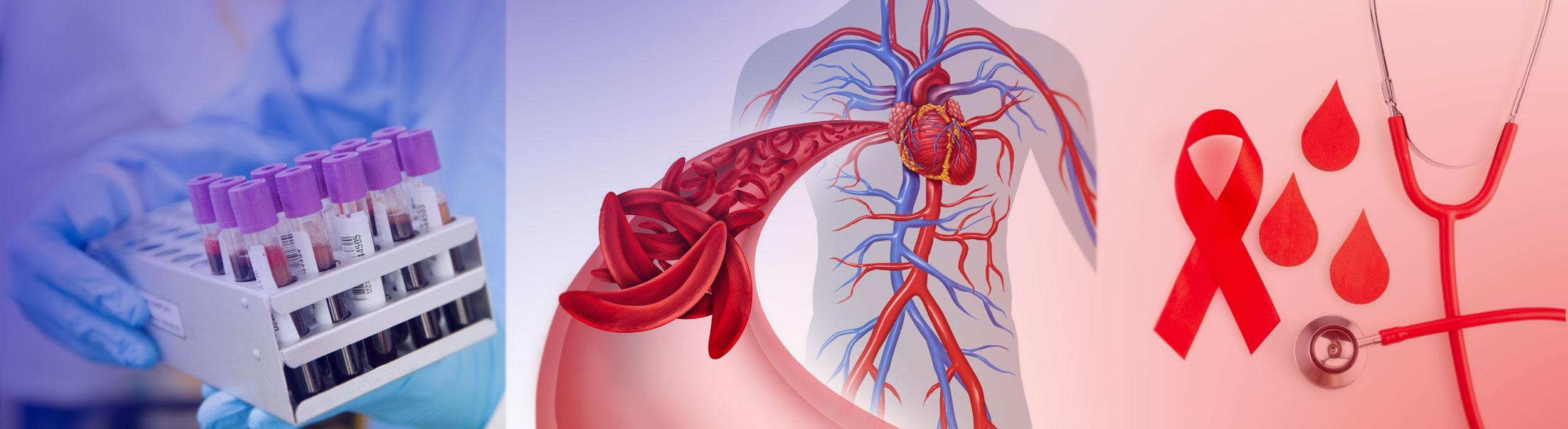 picture of vials filled with blood and drawing of sickle cell disease in the body