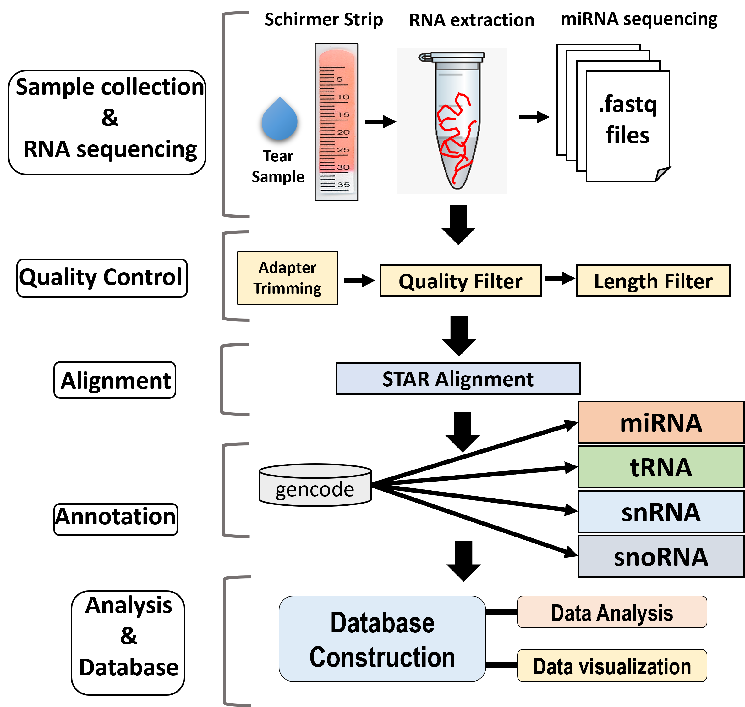 Tear proteomics