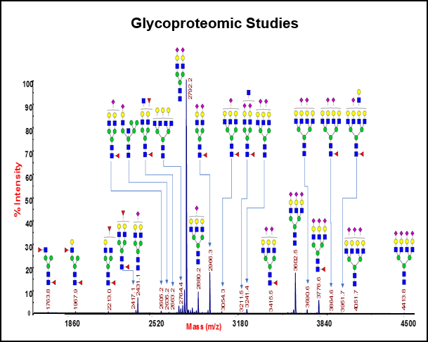 Project 2: Glycoproteomics Studies