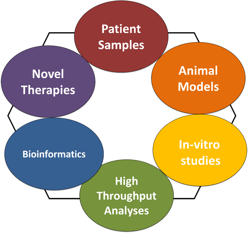 Research methods employed by the Sharma lab