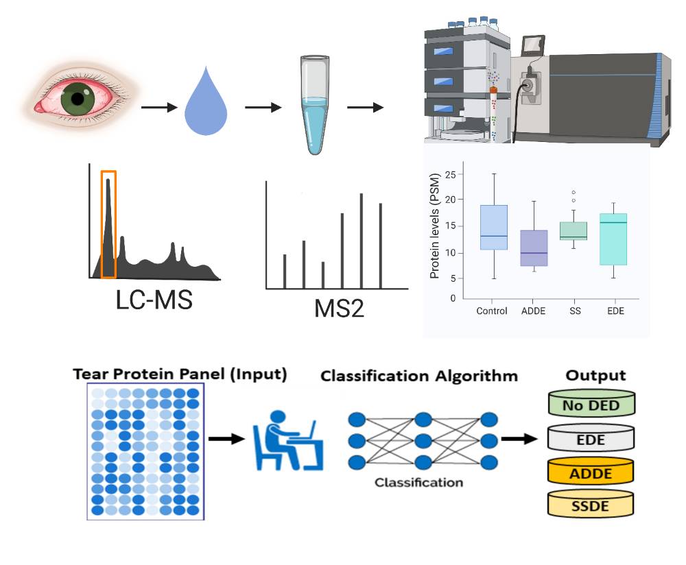 Tear proteomics