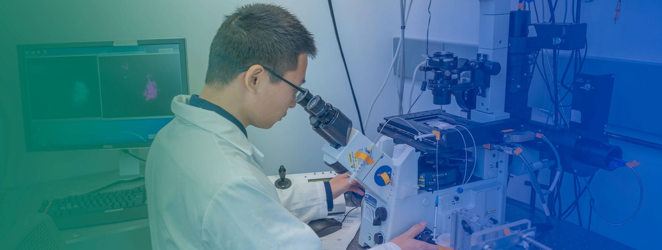 man with back to camera looks into microscope