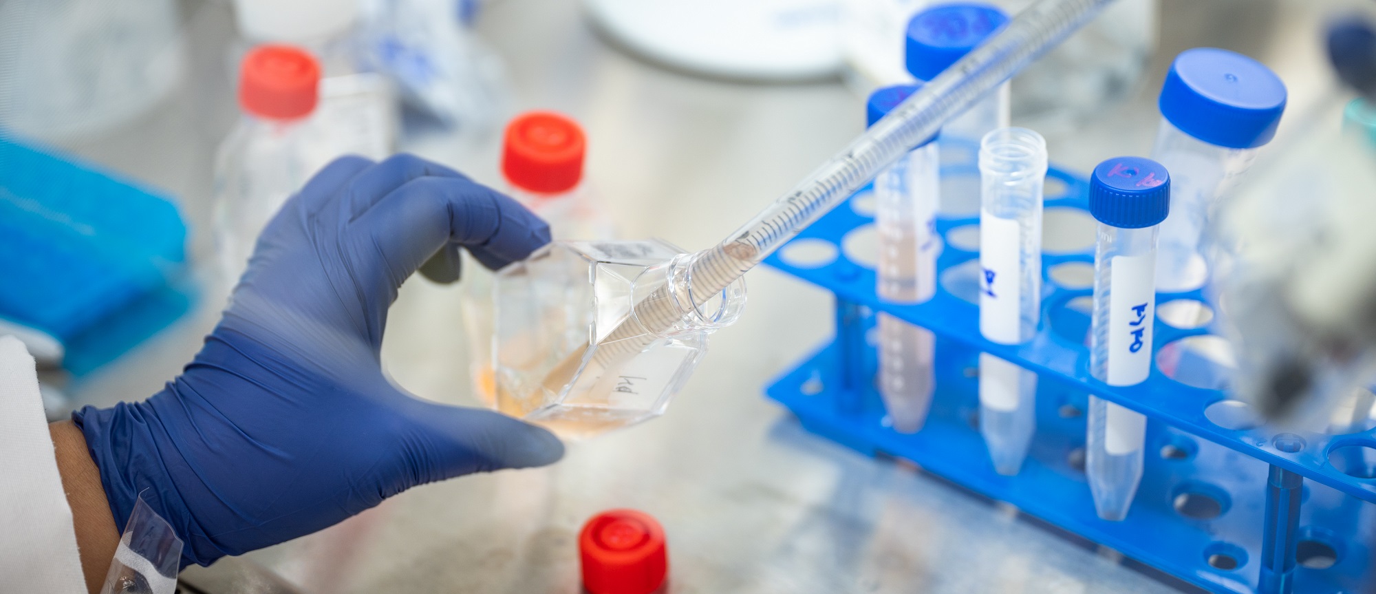 Research Scientist using a dropper to fill test tubes