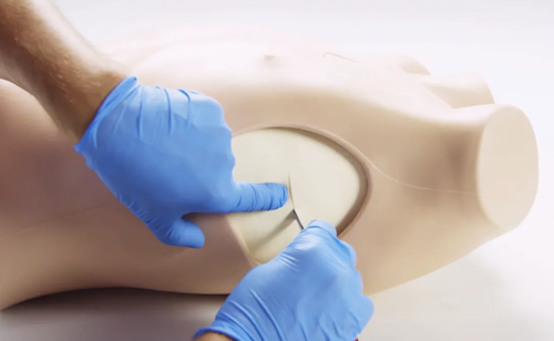 Respiratory by Chest Drain & Needle Decompression Trainer