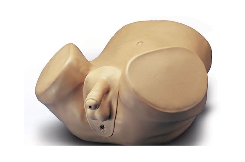GI/GU by Advanced Patient Care Male Prostate Skills Trainer