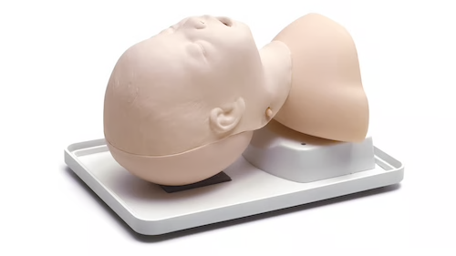 Pediatric by Infant Airway Trainer