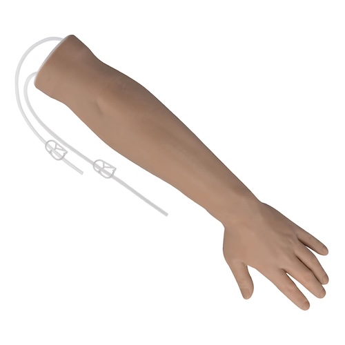 Vascular by IV & Phlebotomy Trainer