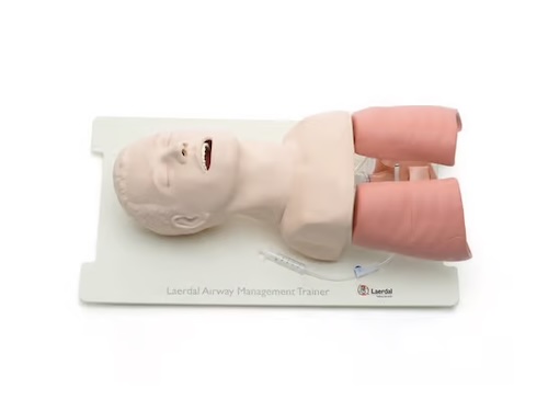 Respiratory by Adult Airway Trainer