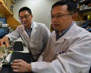 Dr. Yunchao Su and  Dr. Yuqing Huo