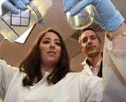 Drs. Faulkner and Belin de Chantemele work in their lab