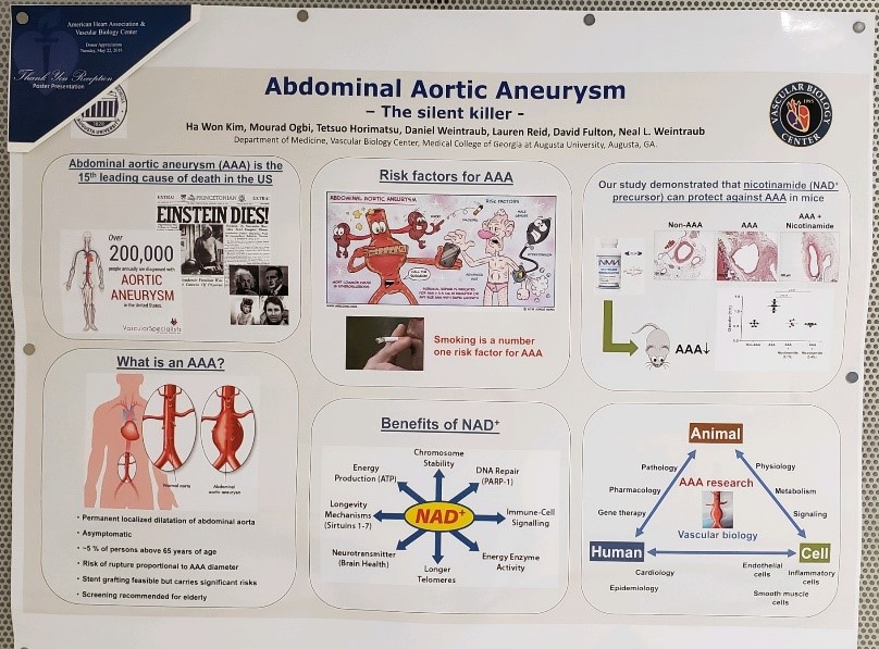 AHA Donor poster-Abdominal Aortic Aneurysm