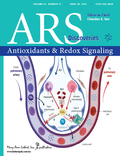 Dr. Lucas Journal article