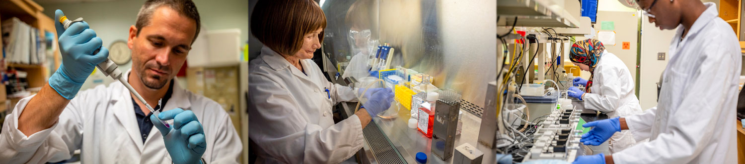 Dr. Belin de Chantemele's lab promo image made up of three photos of his lab members working in the lab