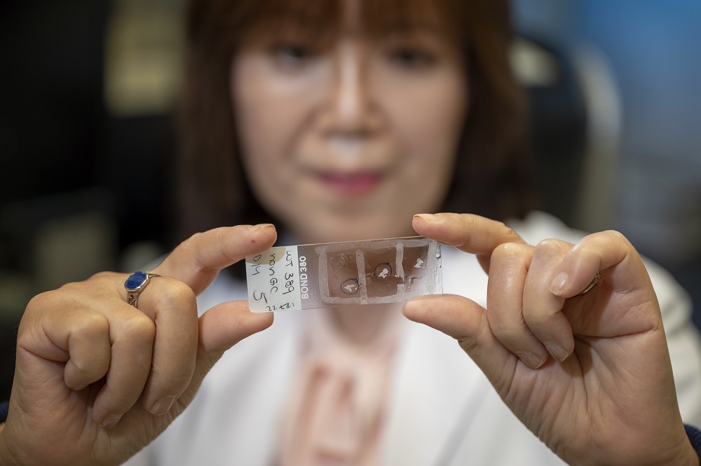 Dr. Masuko Fukai holding microscopic slide.