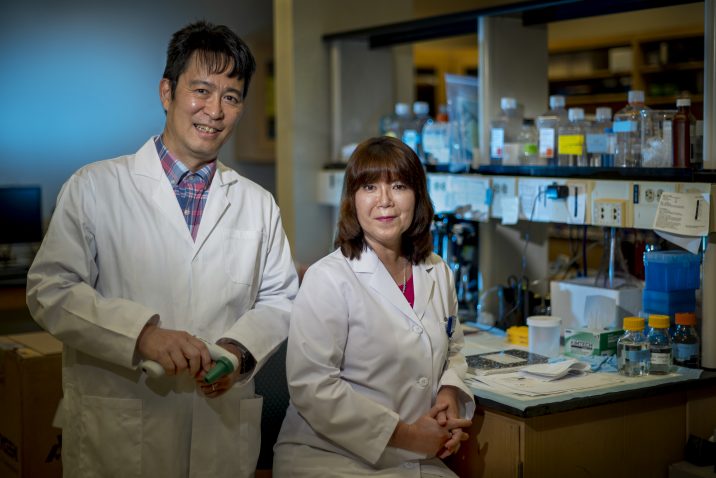 Drs. Tohru and Masuko Fukai posing in lab. 