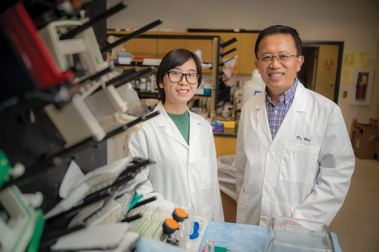 Drs. Qian Ma and Yuqing Huo pose for photo in lab. 