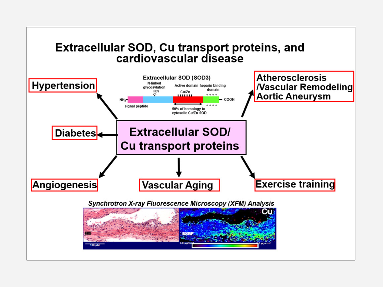 Tohru Research and publications research image