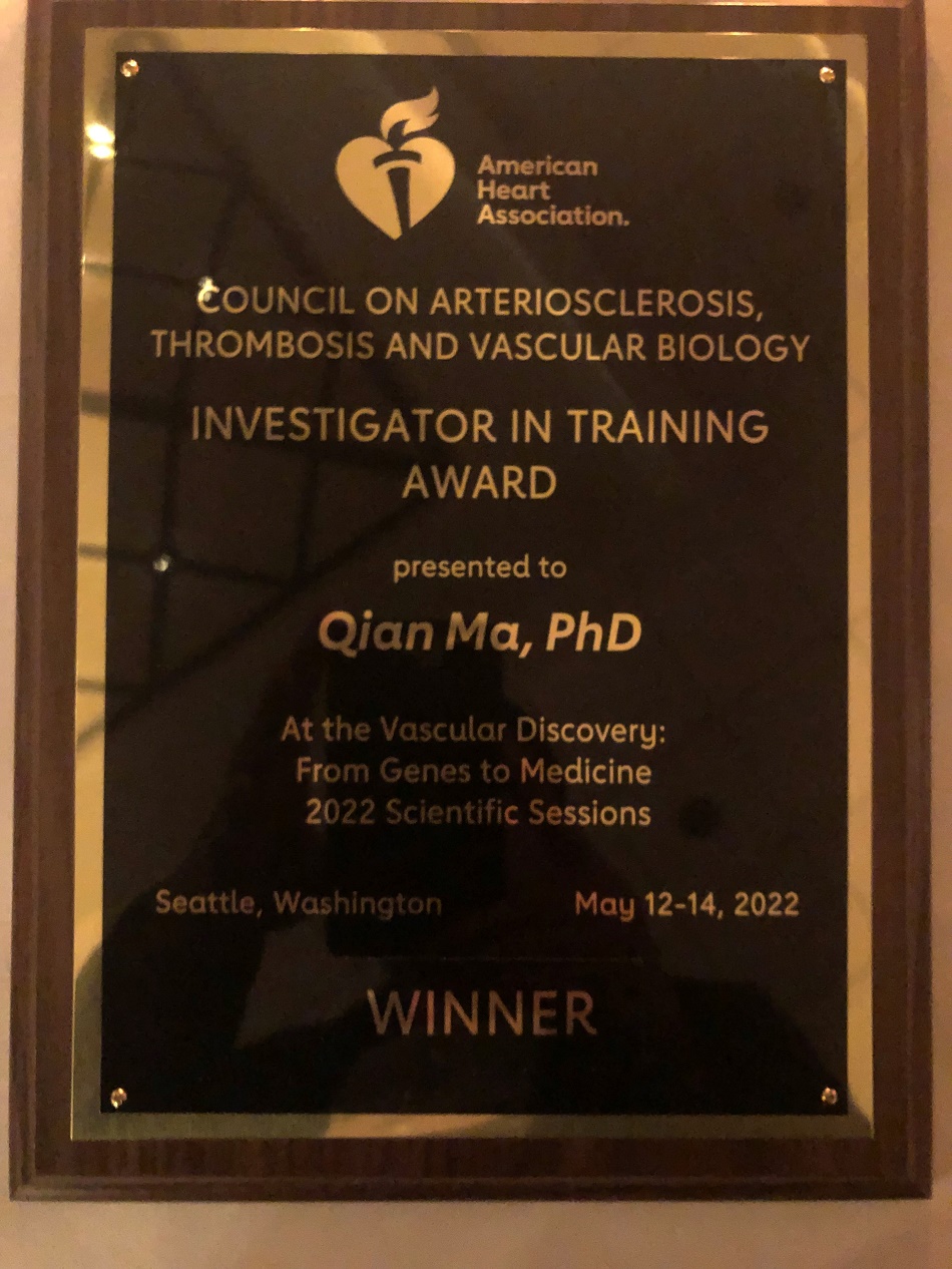 Ma 2022 Award Plaque