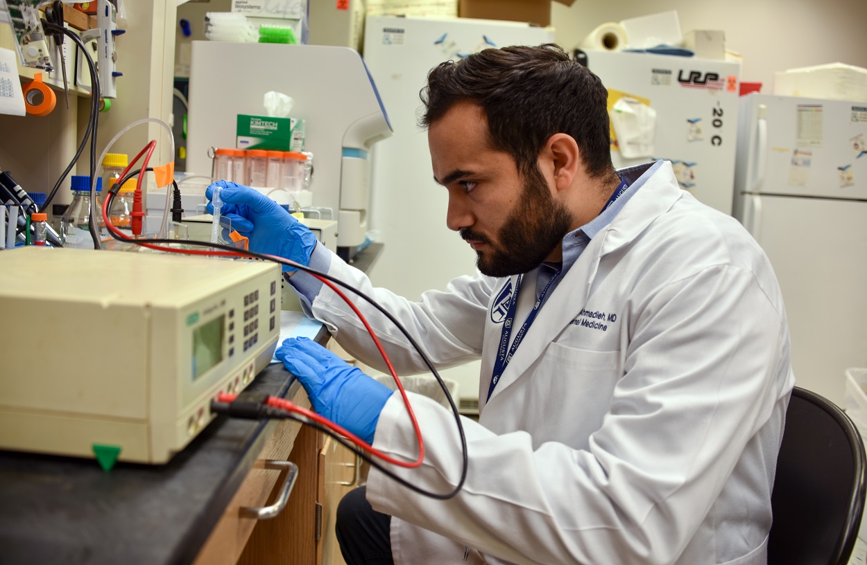 Weintraub lab- Dr. Ahmadieh