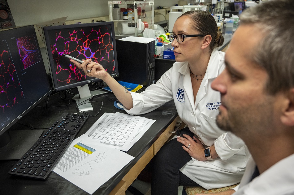 Belin lab image - lab members looking at computer