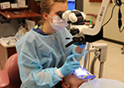 Thumbnail: Endodonics