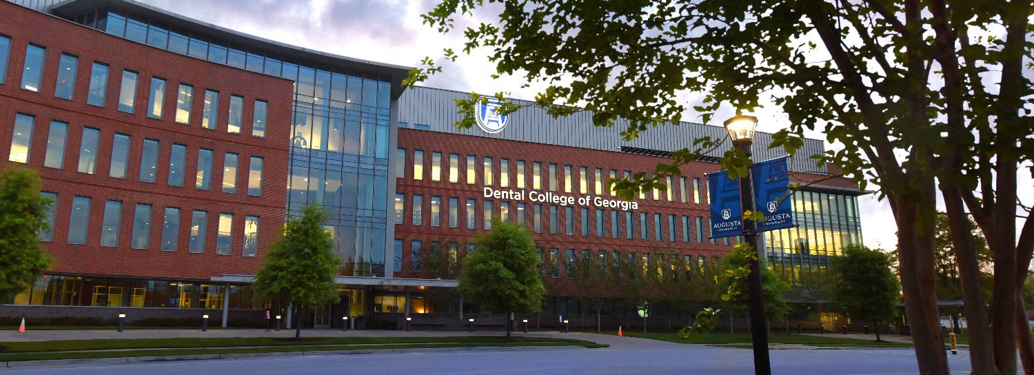 Dental Schools In Georgia Requirements CollegeLearners