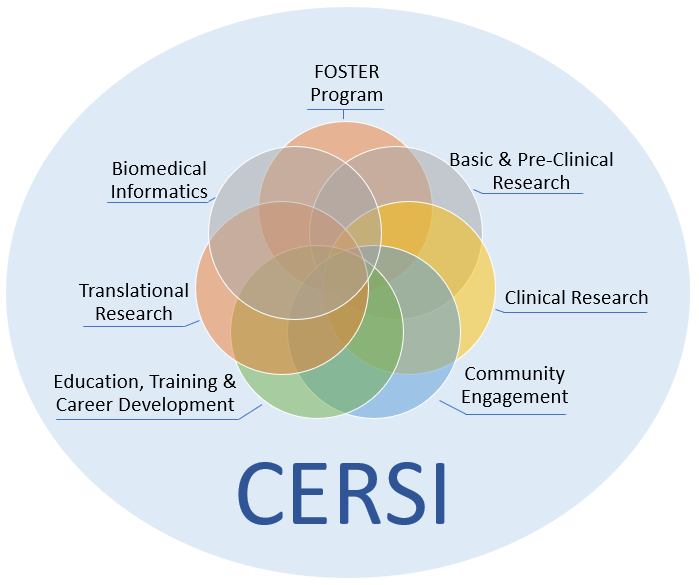 CERSI Areas of Focus